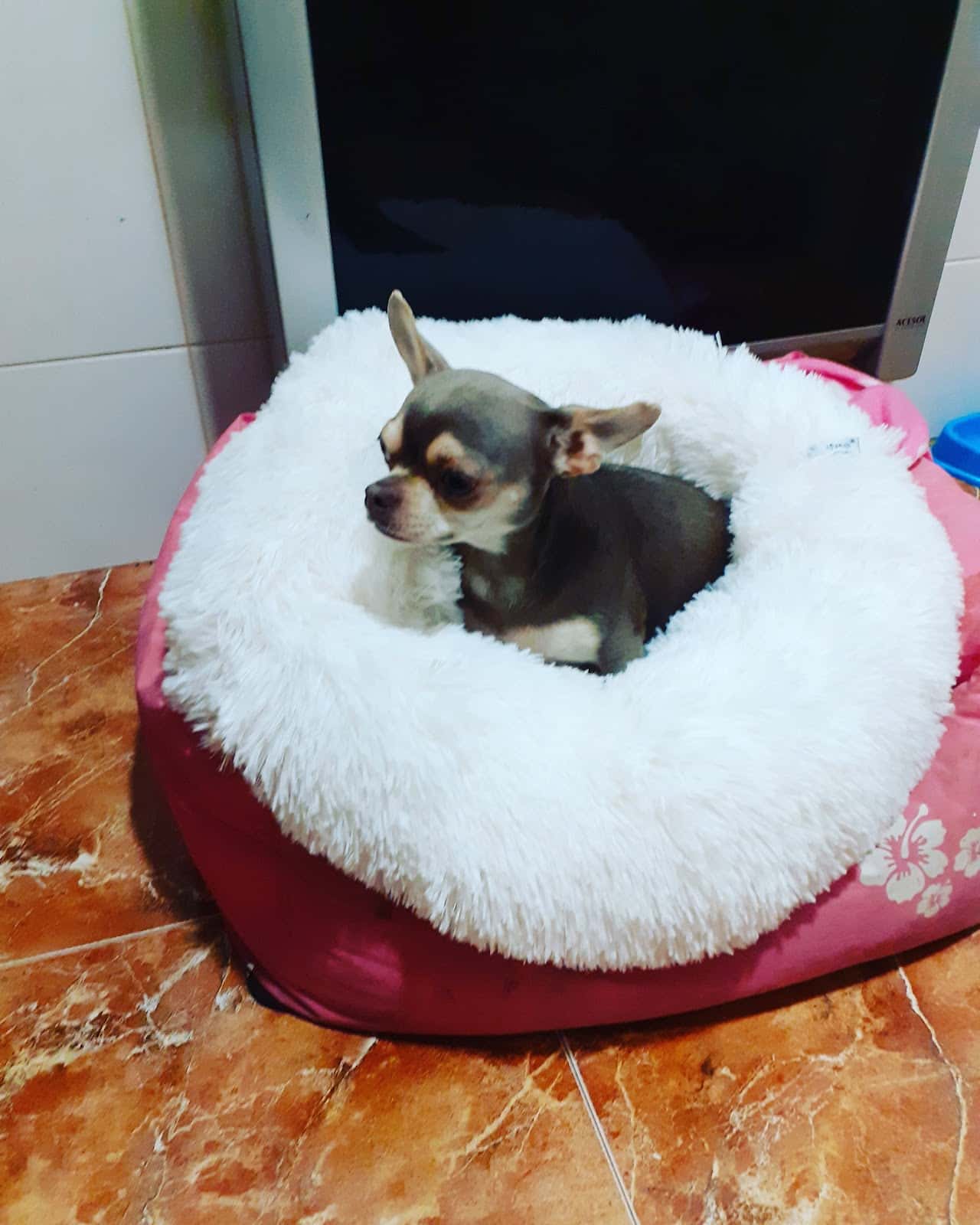 Clínica Veterinaria Fauna