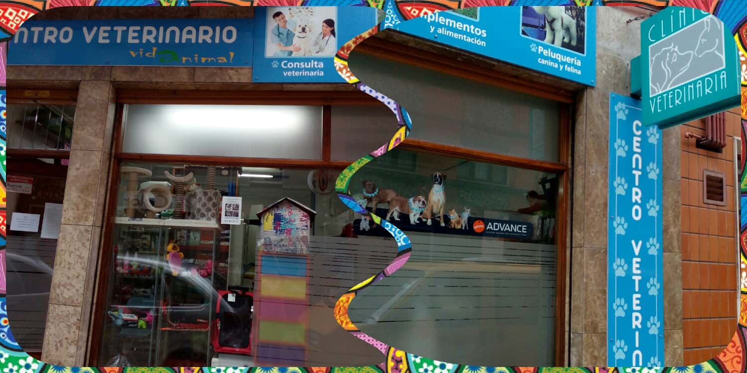 centro veterinario vidanimal by lua  veterinario centro en gijon en asturias principalImage ADOPTA Sitios Pet Friendly