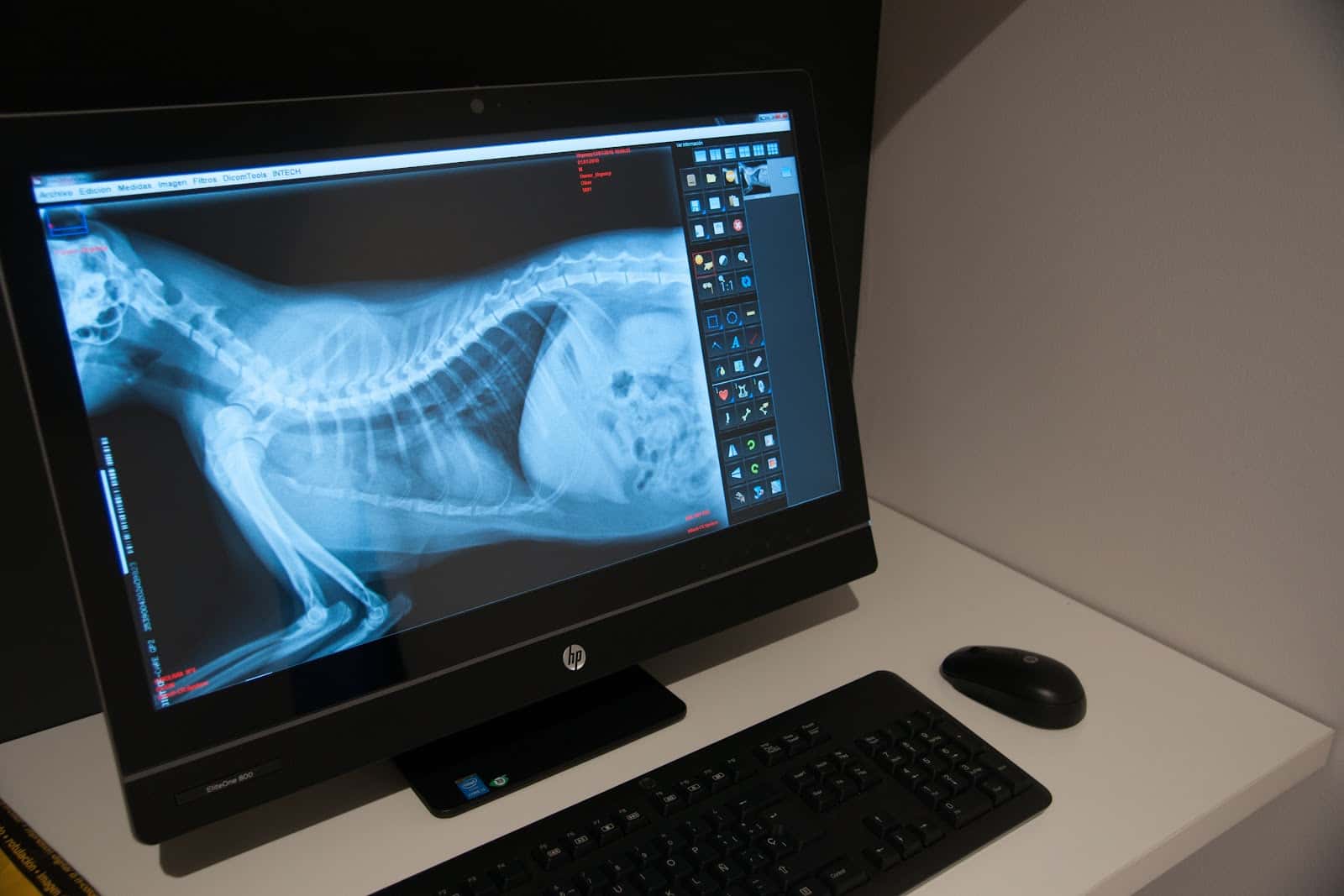 Clínica Veterinaria Cuatro Caminos