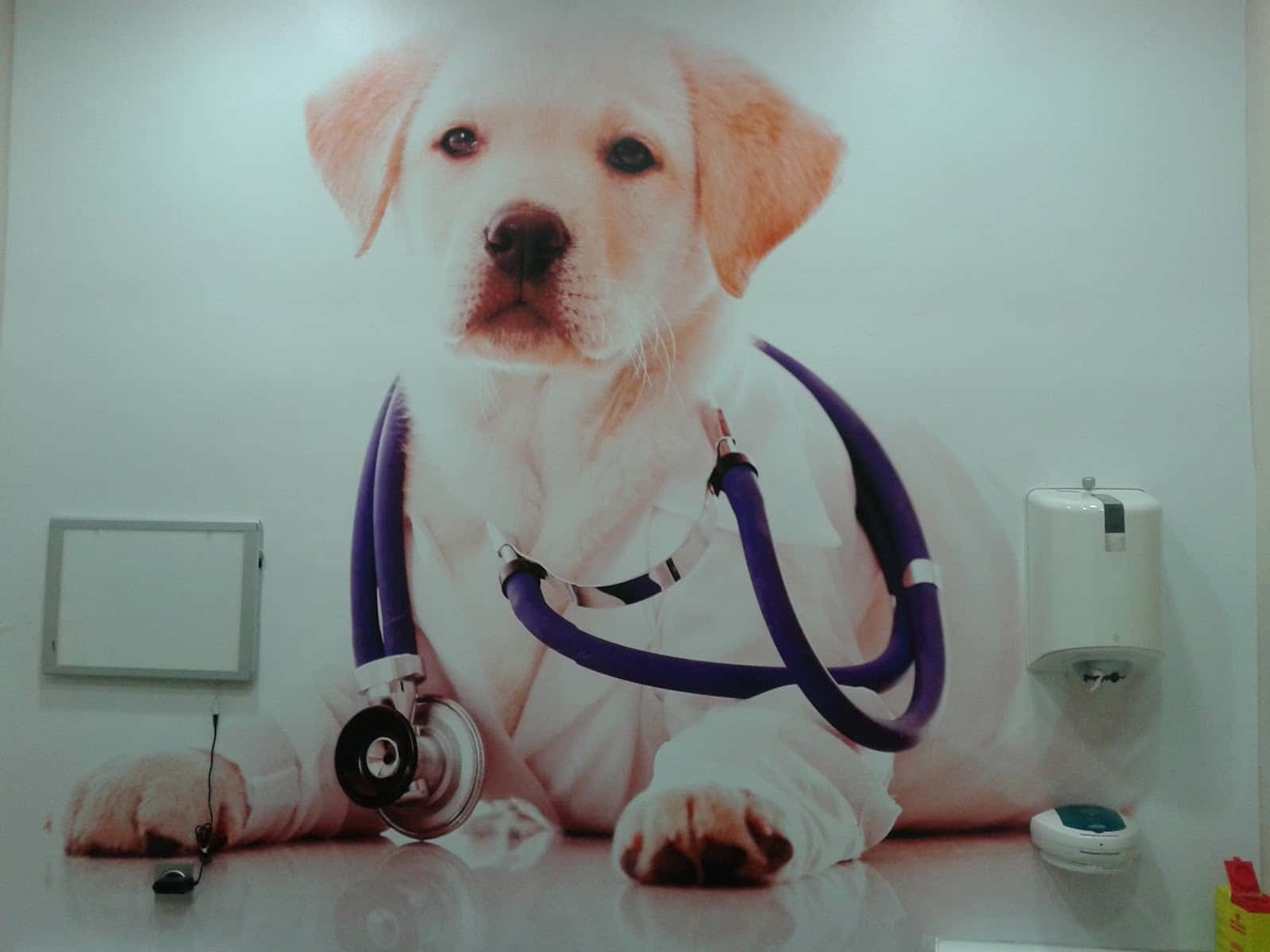 Centro Veterinario Parchís