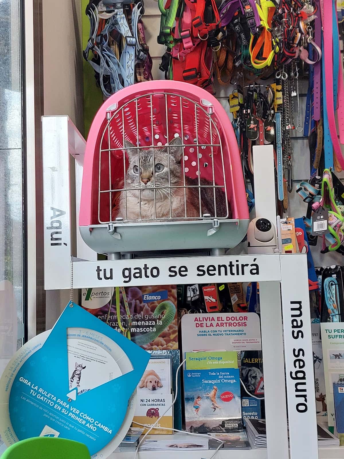 Clínica Veterinaria El Llano