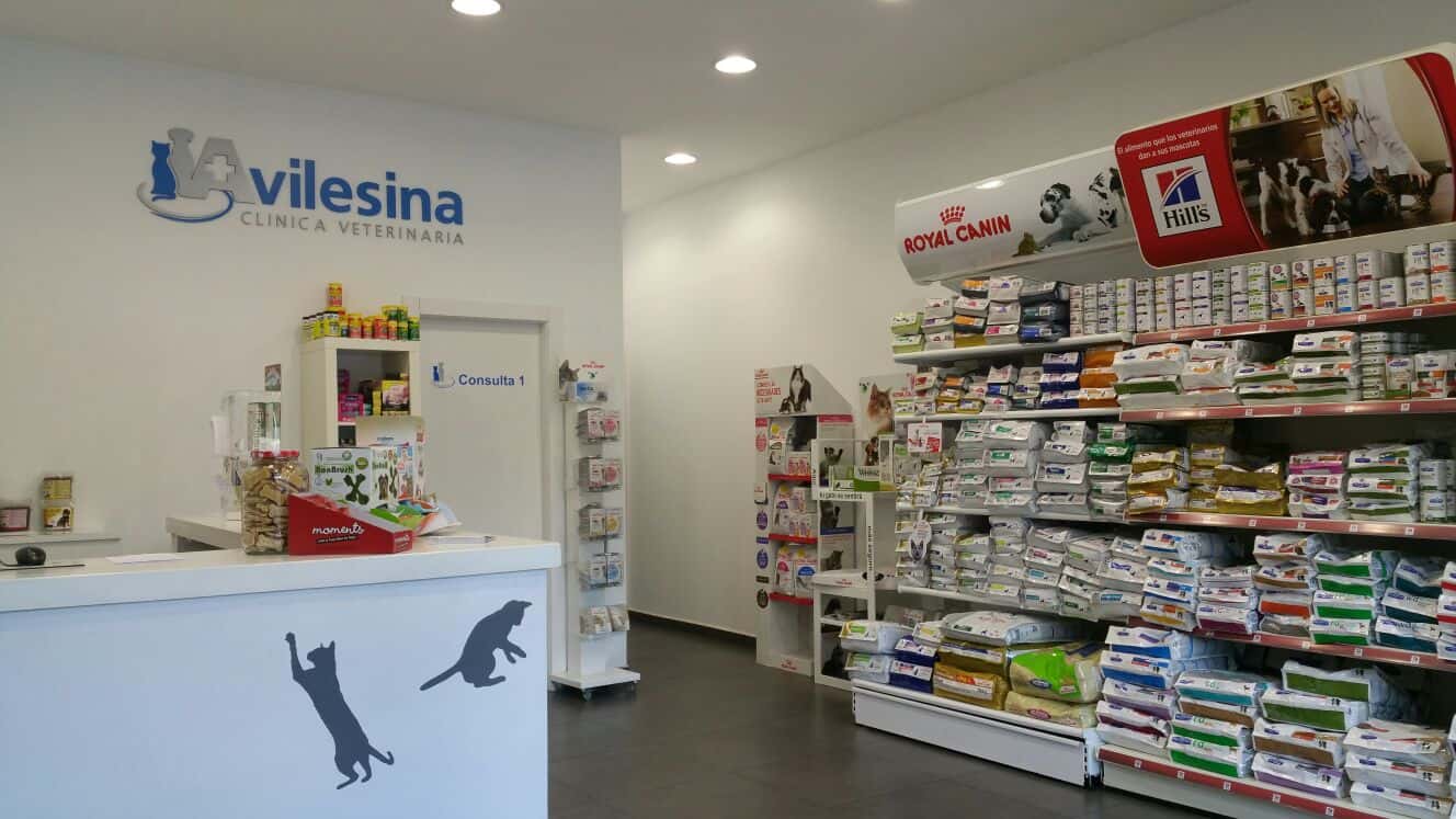 clinica veterinaria avilesina veterinario clinica en aviles en asturias principalImage ADOPTA Sitios Pet Friendly