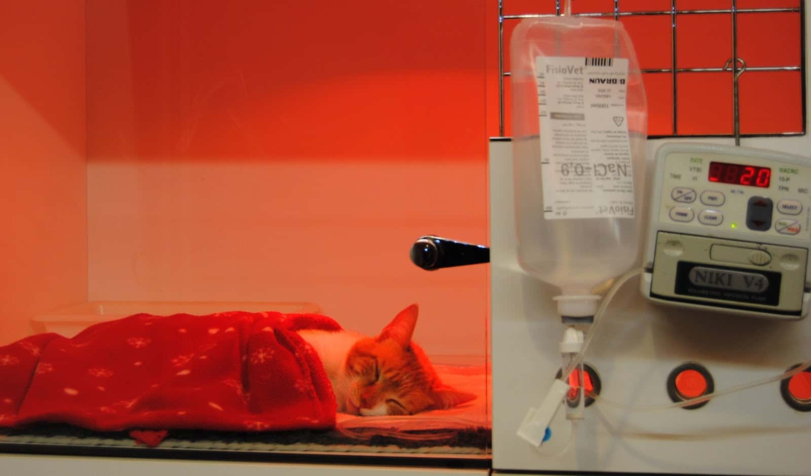 Hospital Veterinario Menes