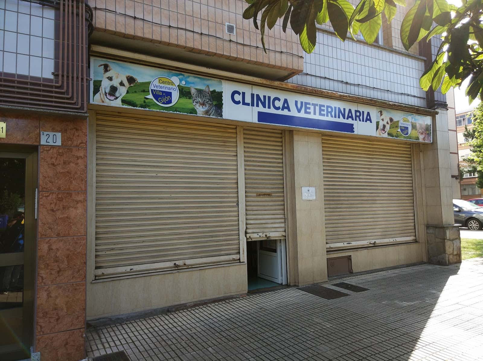 Clinica Veterinaria Principado