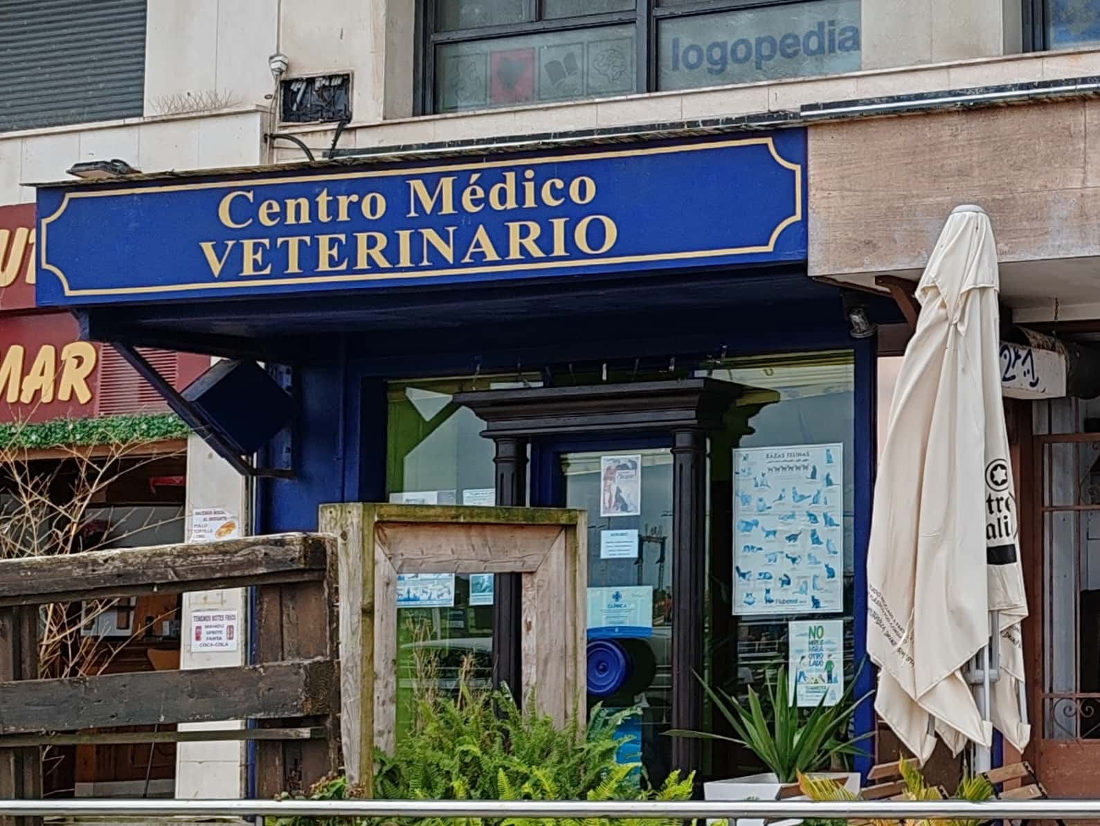 antonio parra rodriguez   centro medico veterinario veterinario centro en gijon en asturias principalImage ADOPTA Sitios Pet Friendly