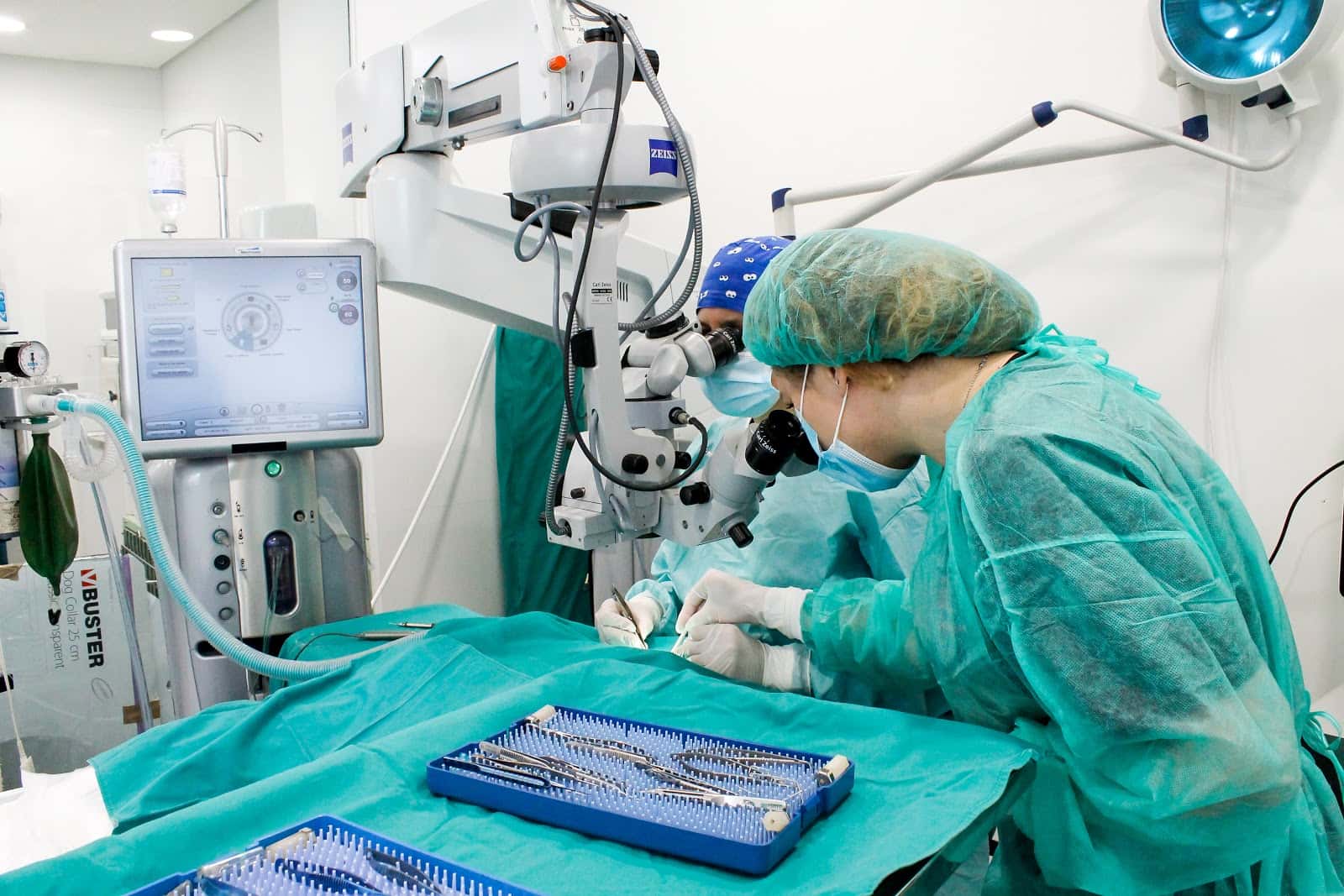 Centro Oftalmológico Veterinario Vission