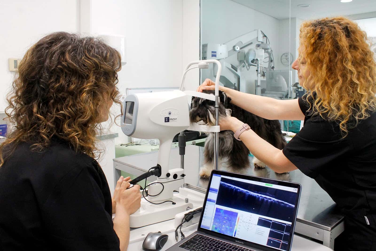 Centro Oftalmológico Veterinario Vission