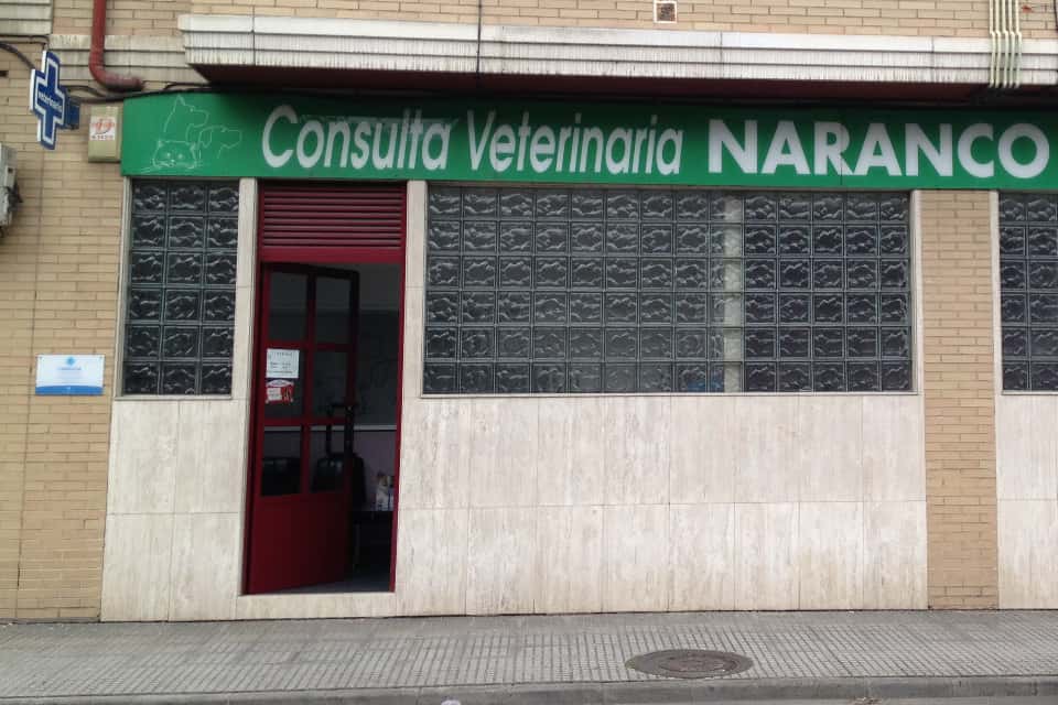 María Naranco González Martínez