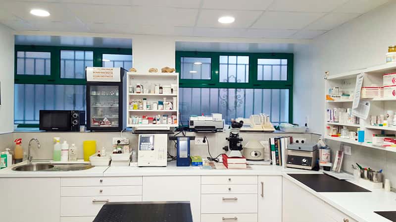 clinica veterinaria maestroveterinarios veterinario clinica en pola de lena en asturias principalImage ADOPTA Sitios Pet Friendly