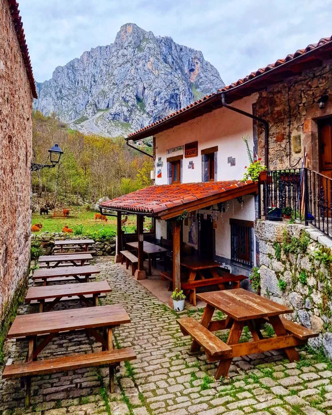 Centro Veterinario Bulnes