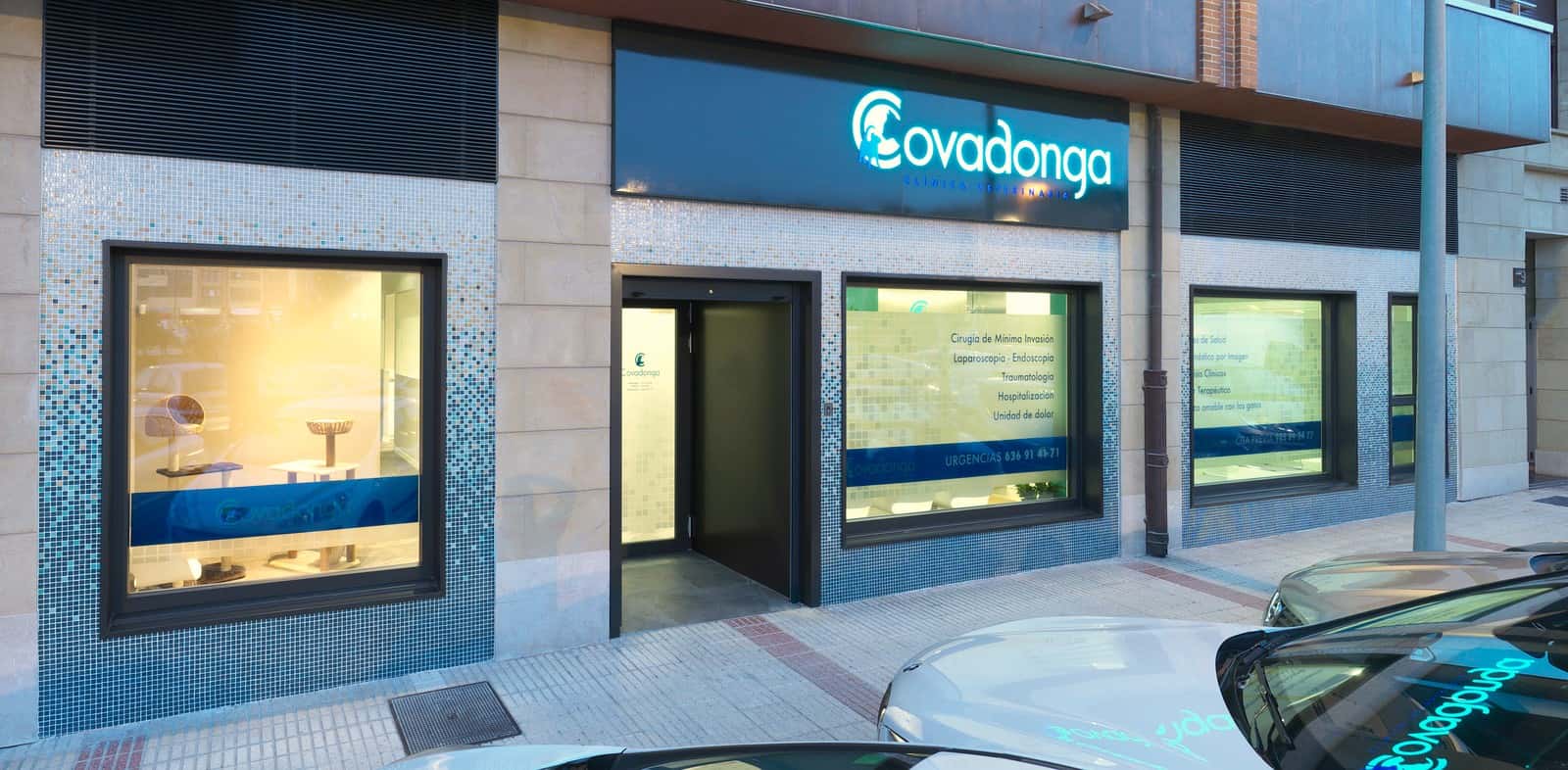 Clínica Veterinaria Covadonga