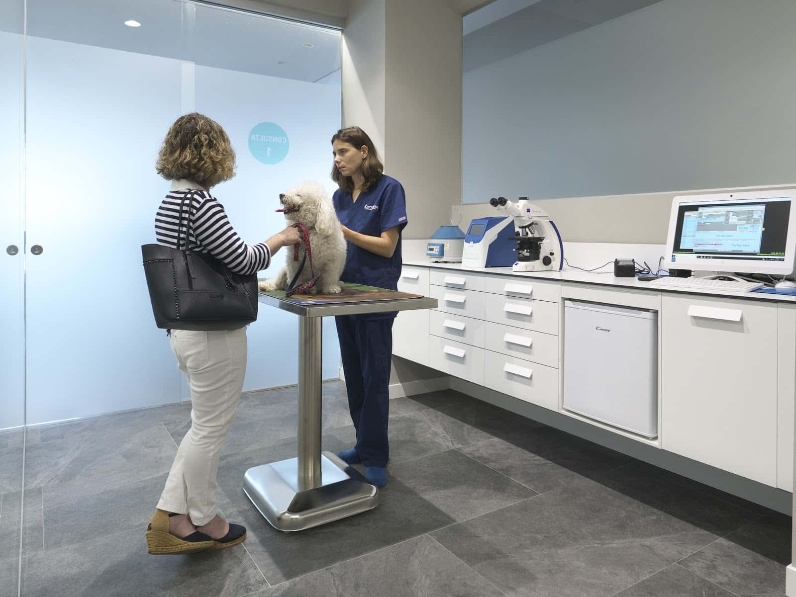 Clínica Veterinaria Covadonga