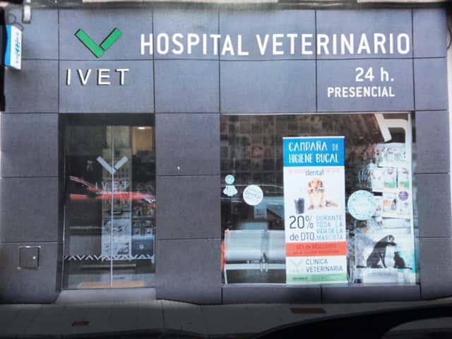 hospital veterinario ivet veterinario hospital en ribadesella en asturias principalImage ADOPTA Sitios Pet Friendly