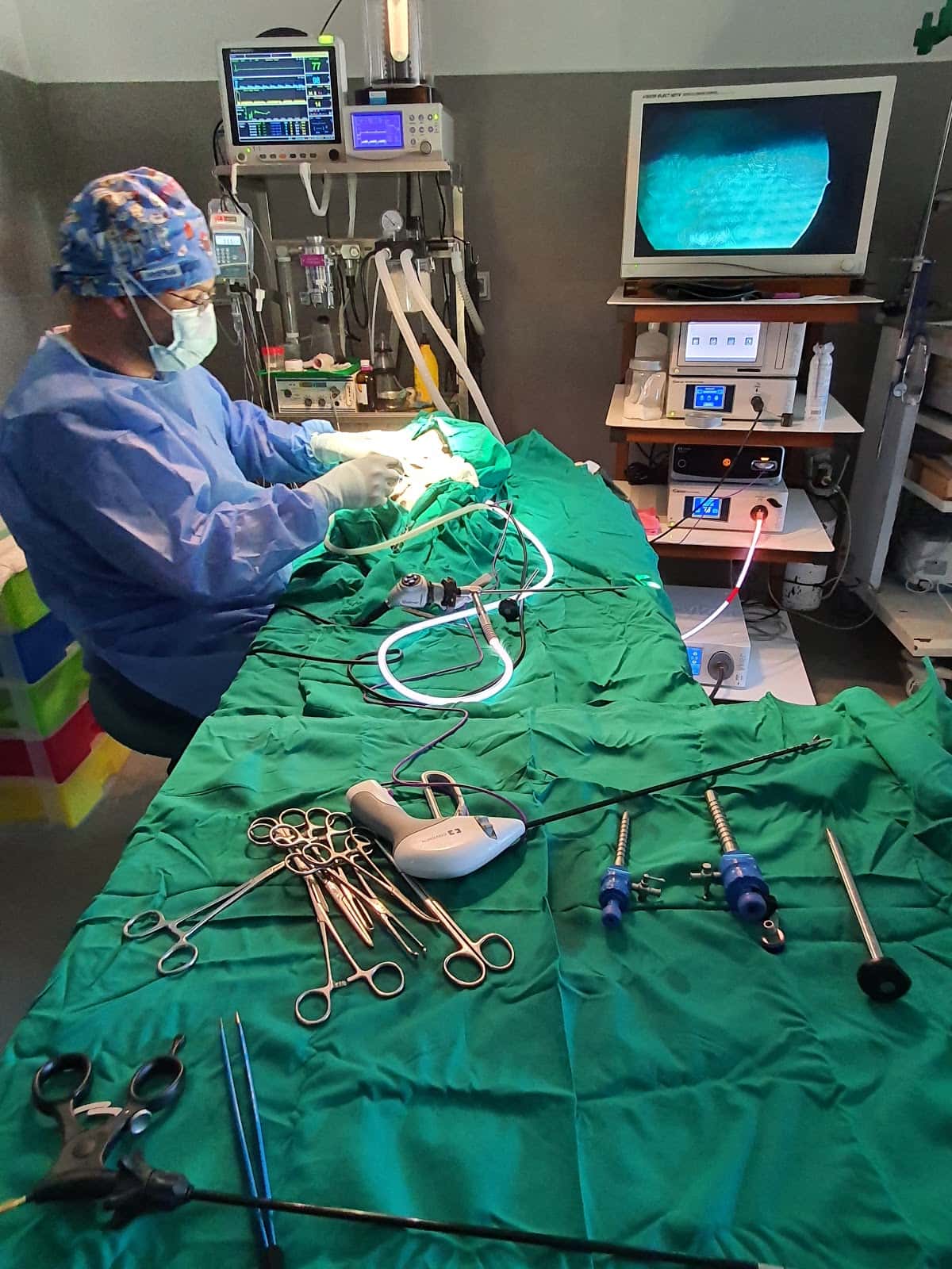 Veterinarios La Caridad
