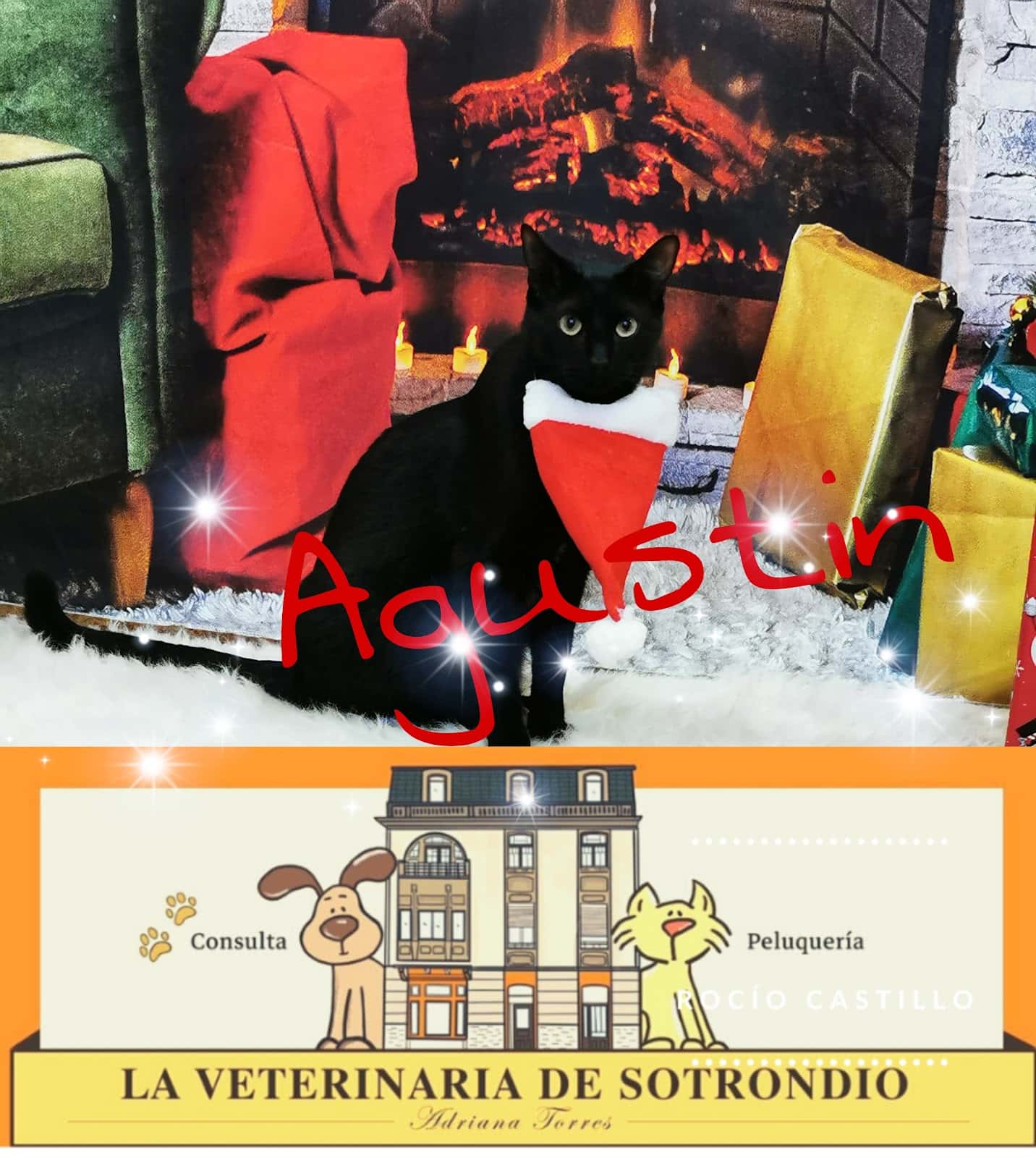 La Veterinaria de Sotrondio