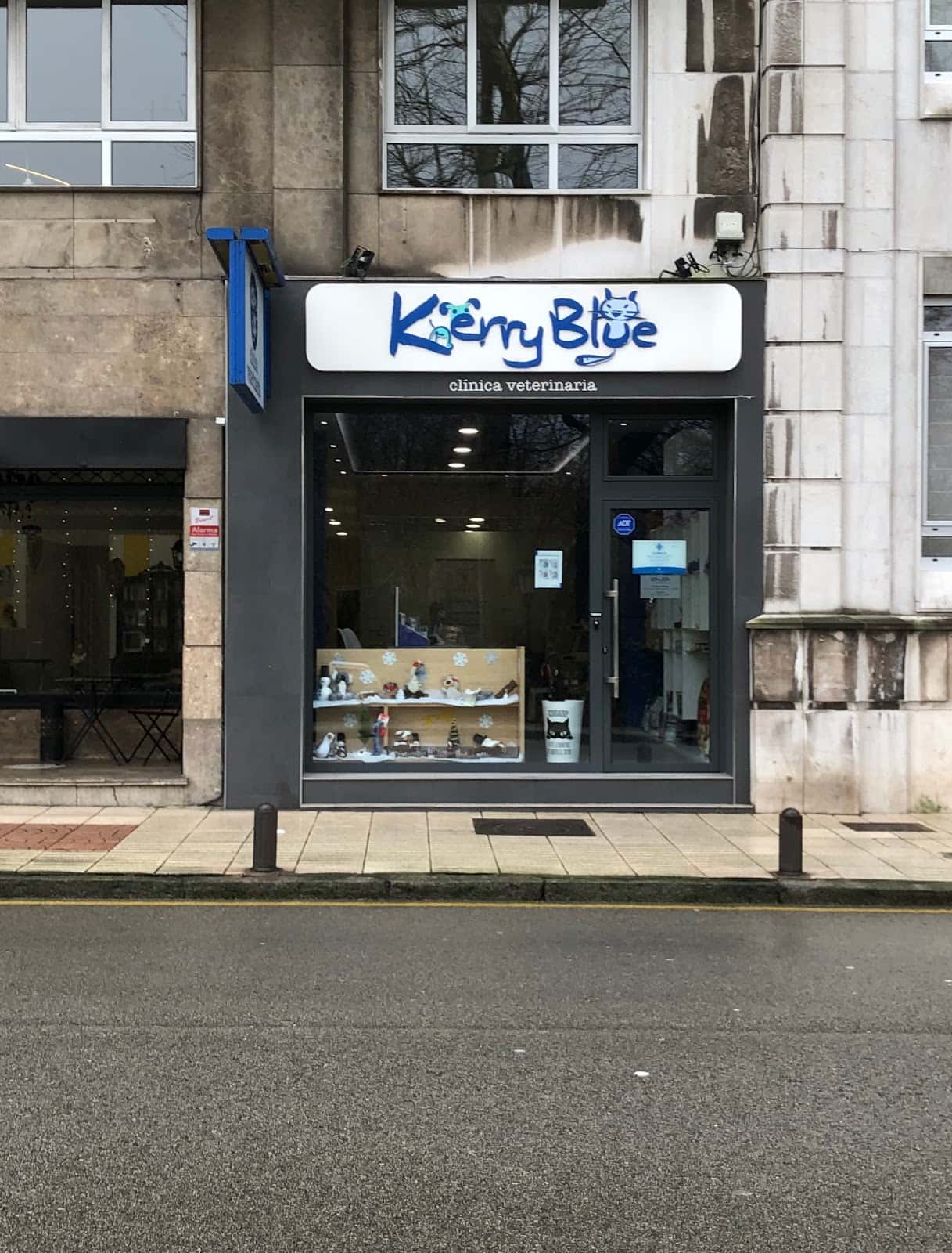 Clinica Veterinaria Kerry Blue