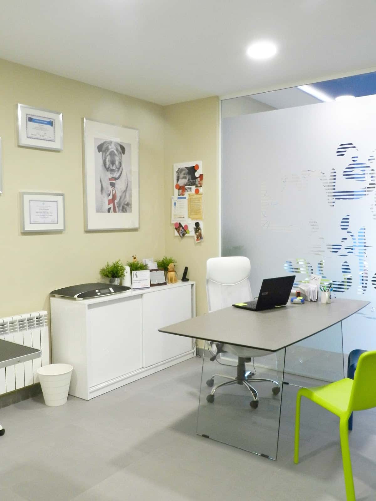 clinica veterinaria kerry blue veterinario clinica en oviedo en asturias principalImage ADOPTA Sitios Pet Friendly