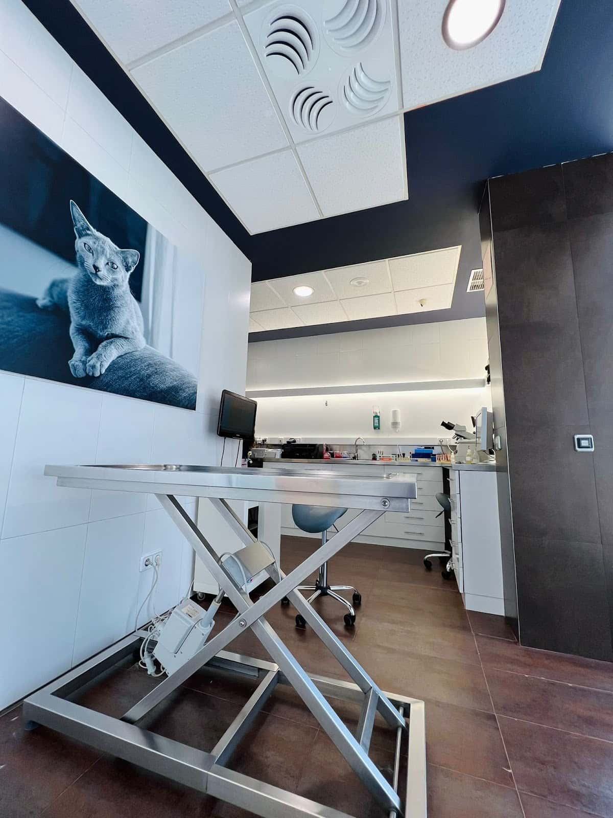 AniCura Buenavista Hospital Veterinario