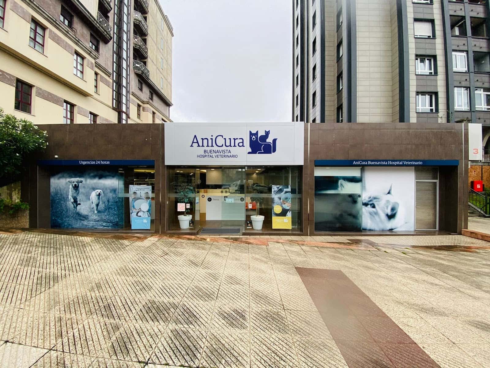 anicura buenavista hospital veterinario veterinario hospital en oviedo en asturias photo undefined ADOPTA Sitios Pet Friendly