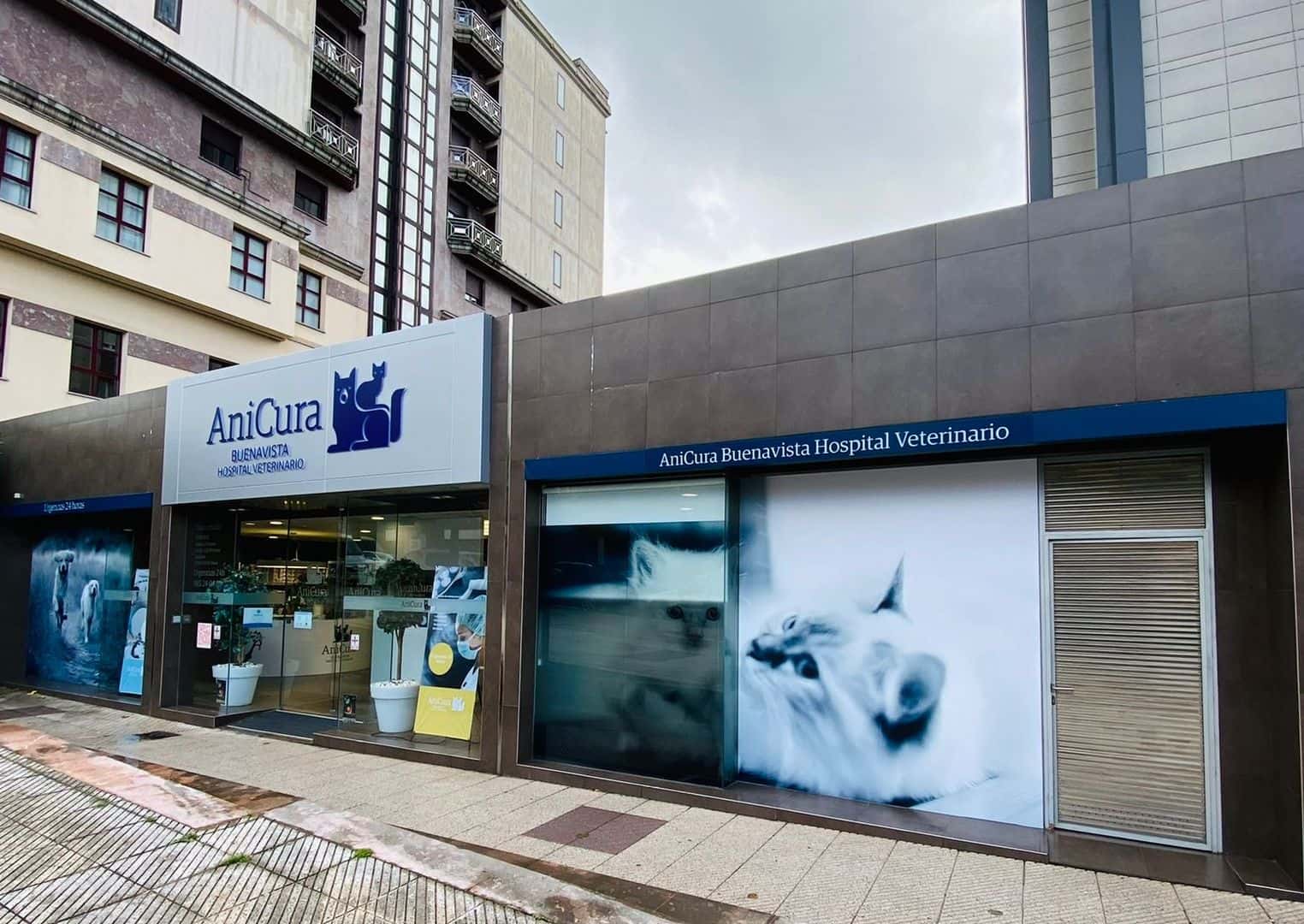 AniCura Buenavista Hospital Veterinario
