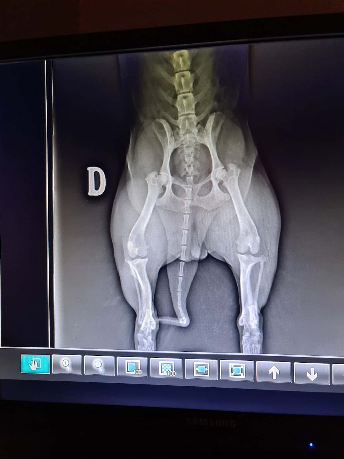 Clínica Veterinaria San Antón