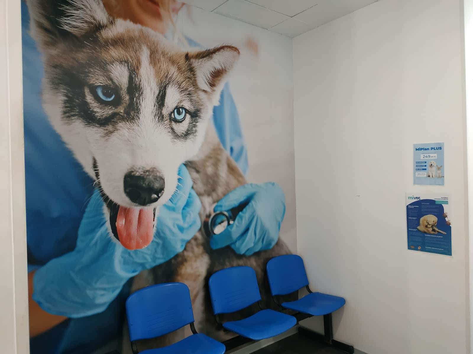 Clínica Veterinaria Cervantes | MiVet