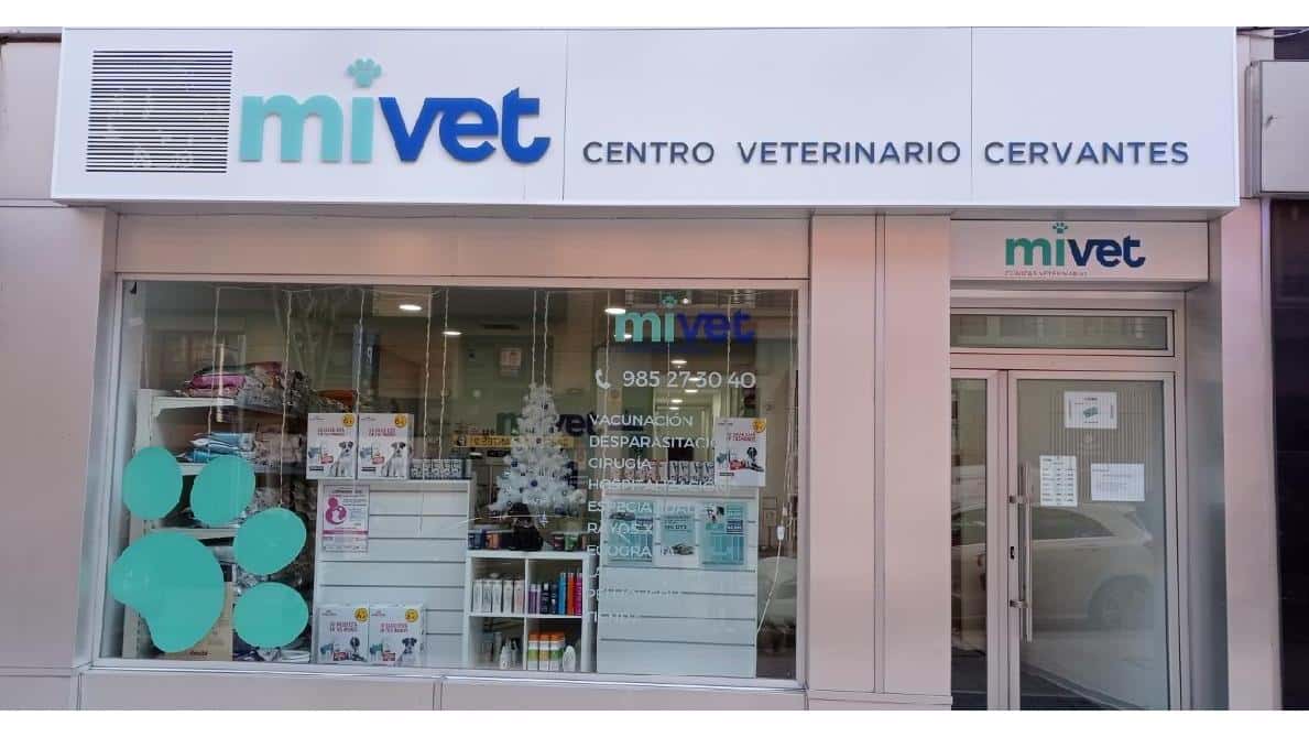 clinica veterinaria cervantes  mivet veterinario clinica en oviedo en asturias principalImage ADOPTA Sitios Pet Friendly