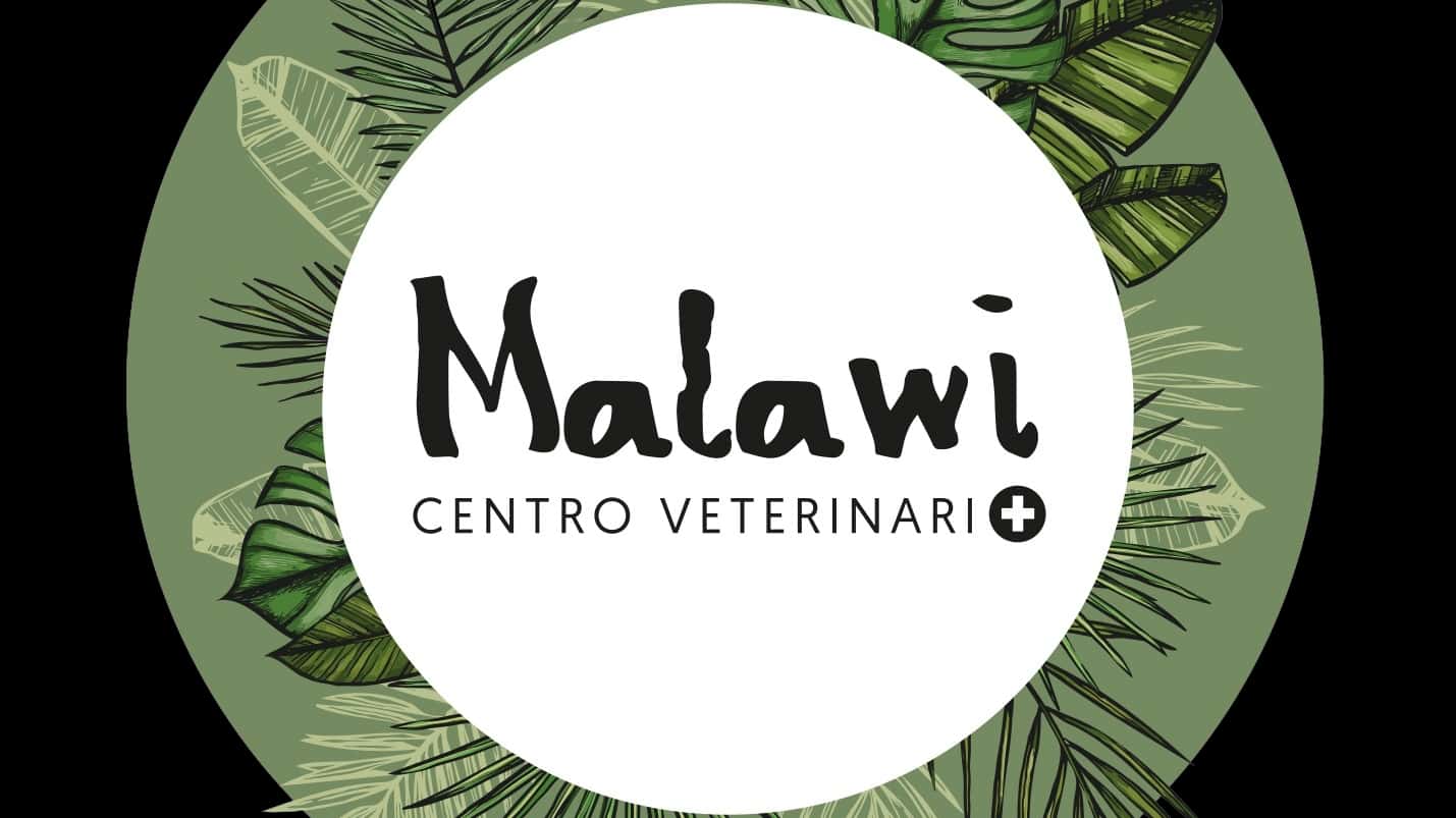 Centro Veterinario Malawi