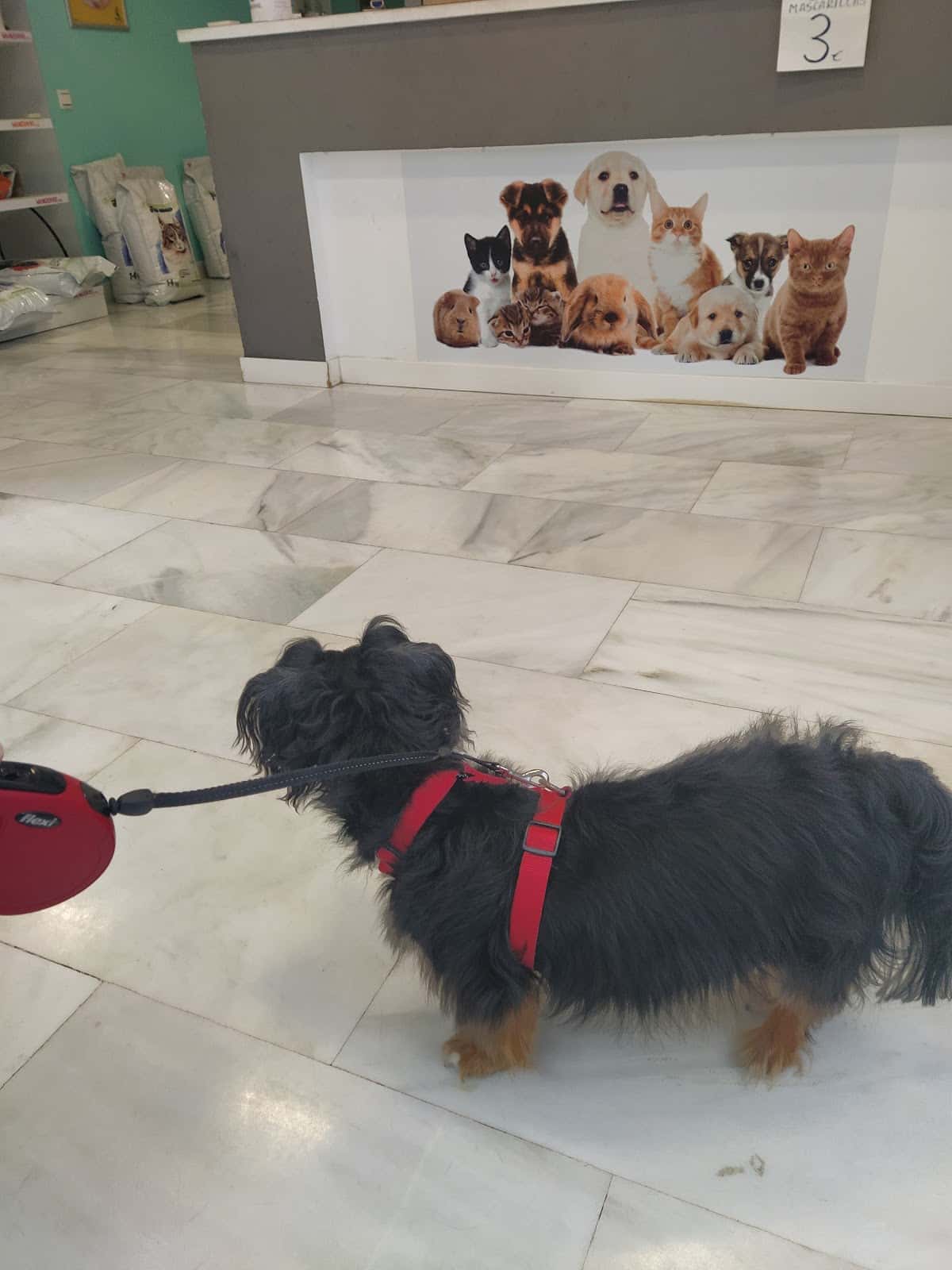 Clínica Veterinaria Vetusta
