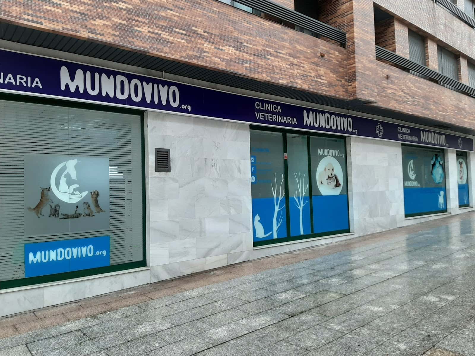 clinica veterinaria mundo vivo veterinario clinica en oviedo en asturias principalImage ADOPTA Sitios Pet Friendly