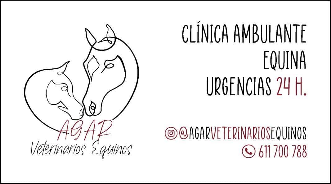 AGAR Veterinarios Equinos