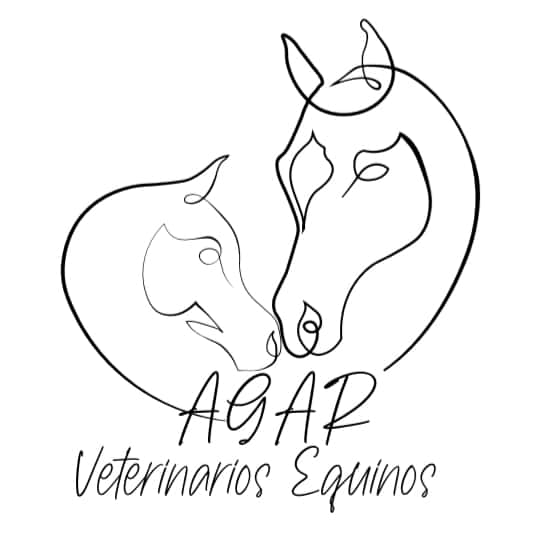 agar veterinarios equinos veterinario centro en boquerizo en asturias principalImage ADOPTA Sitios Pet Friendly