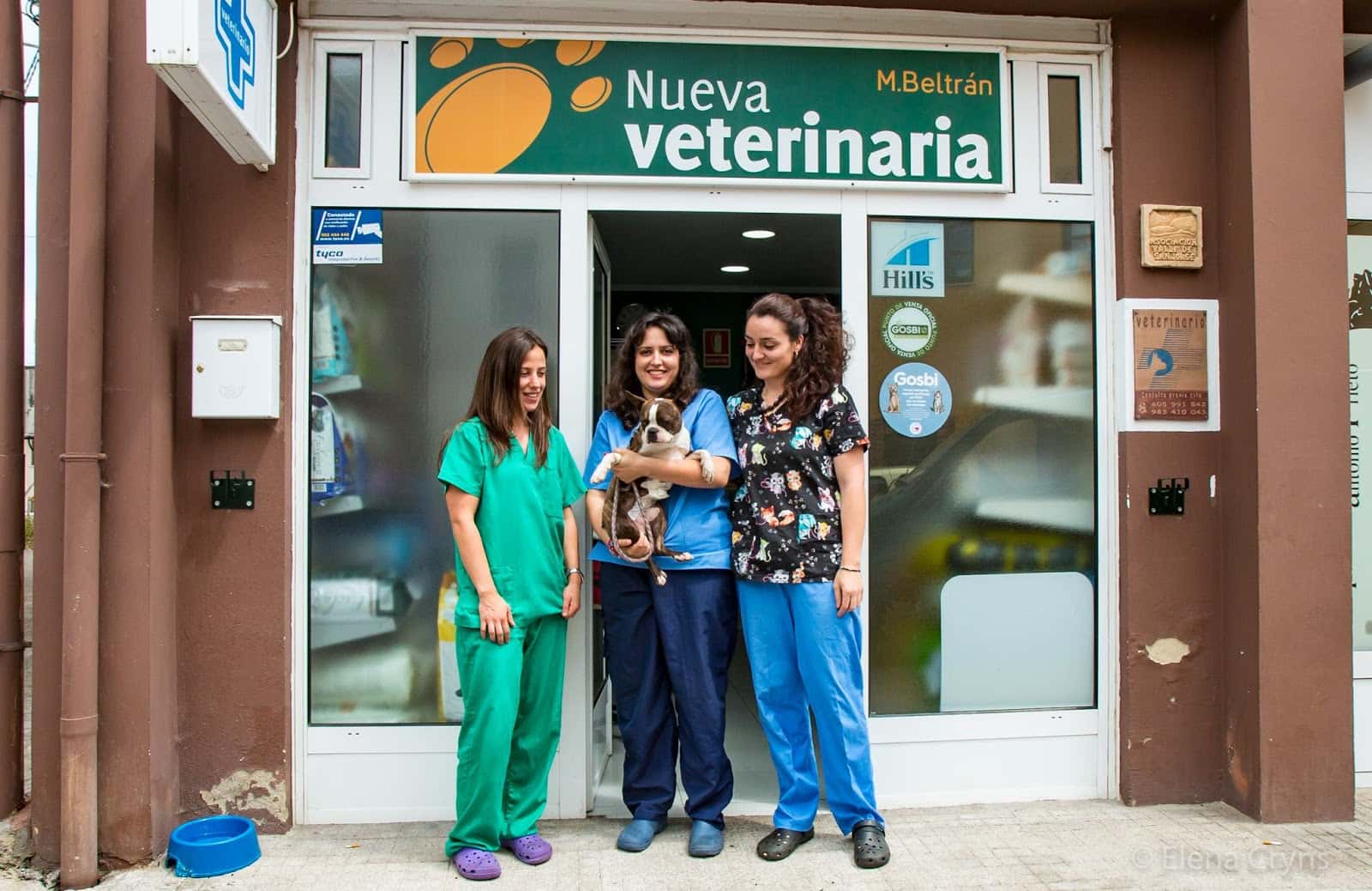 Clínica Nueva Veterinaria