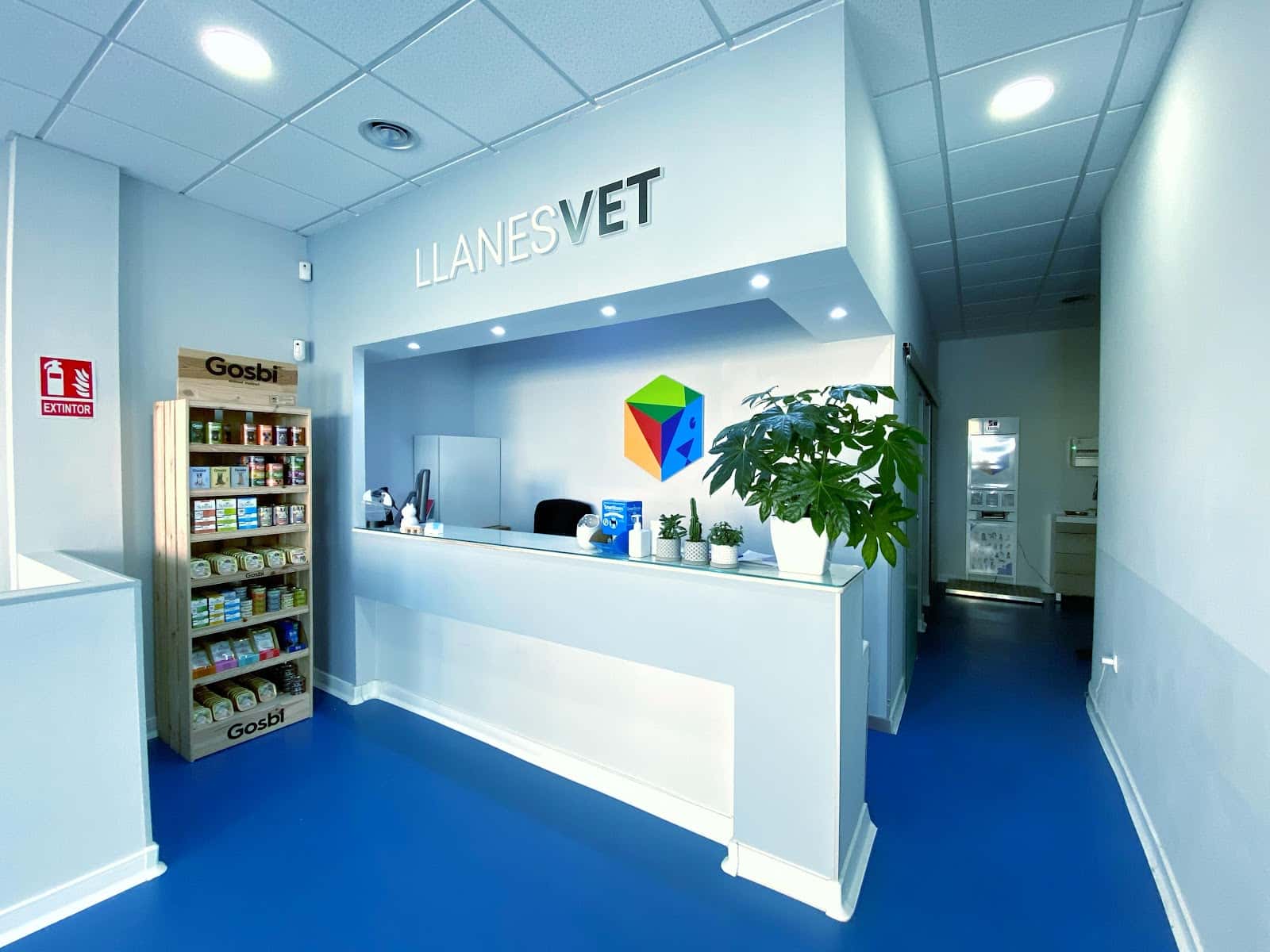 clinica veterinaria llanesvet veterinario clinica en llanes en asturias principalImage ADOPTA Sitios Pet Friendly