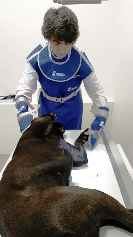 Clínica Veterinaria Saro