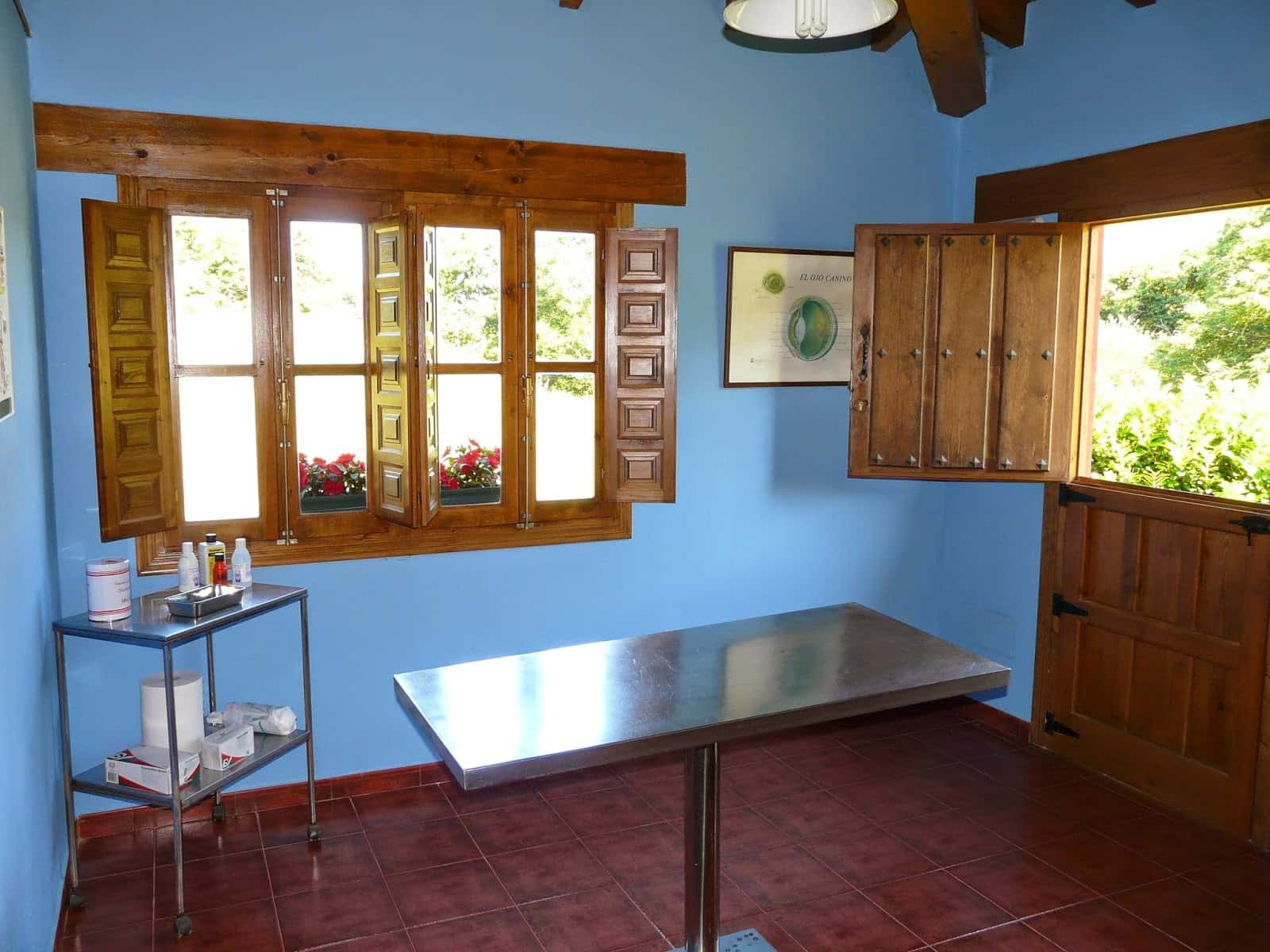 Clinica Veterinaria J. Villanueva