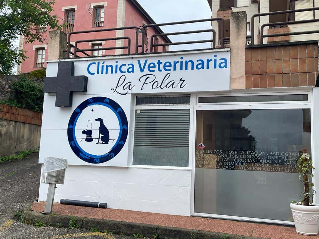 clinica veterinaria la polar veterinario clinica en san vicente de la barquera en cantabria principalImage ADOPTA Sitios Pet Friendly