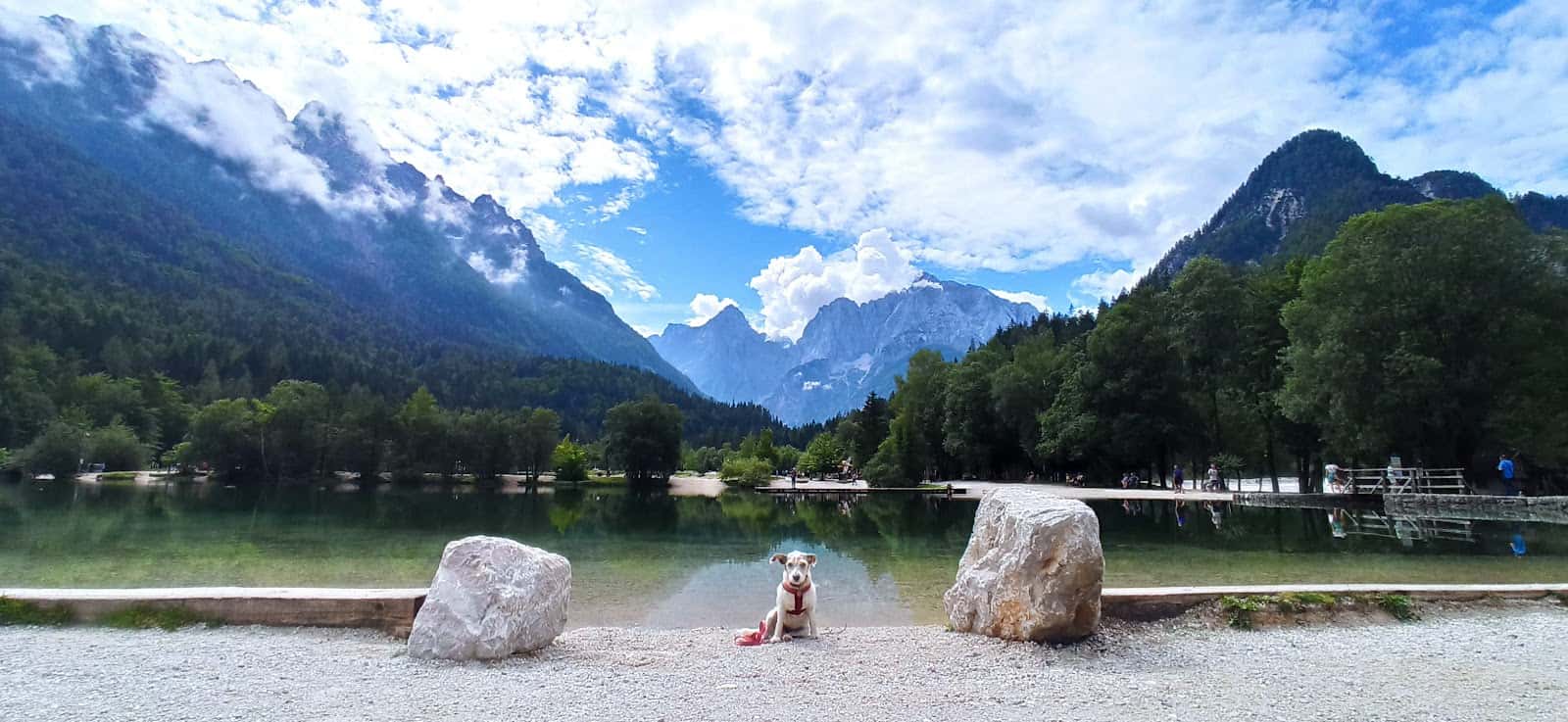 Clínica Veterinaria Les Campes