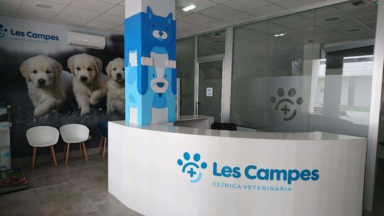 clinica veterinaria les campes veterinario clinica en pola de siero en asturias principalImage ADOPTA Sitios Pet Friendly