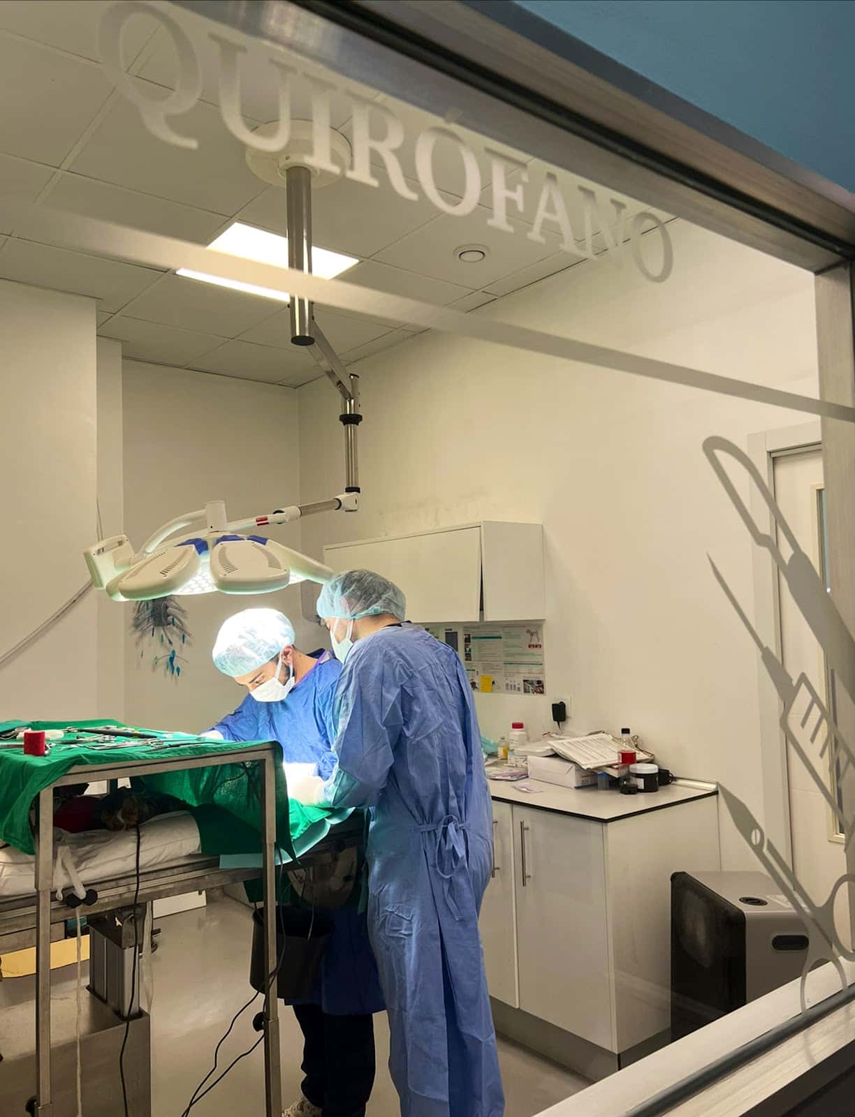 CENTRO CLÍNICO VETERINARIO ÁLVARO NAVA