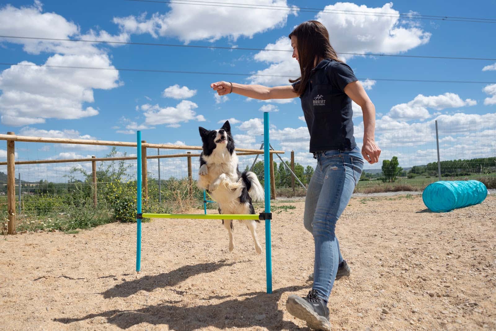 RURALVET CENTRO ANIMAL