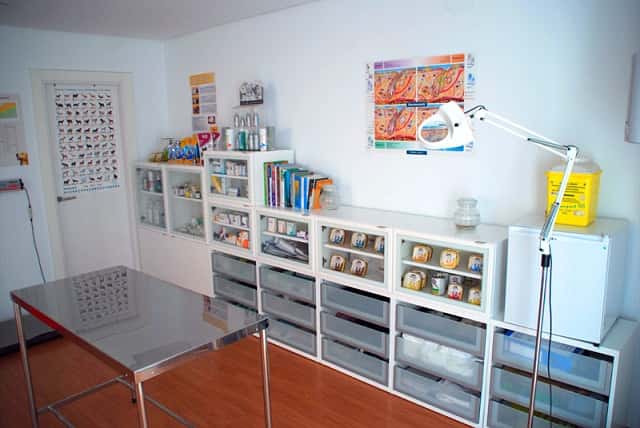Consultorio Veterinario Rivet