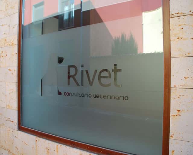 Consultorio Veterinario Rivet
