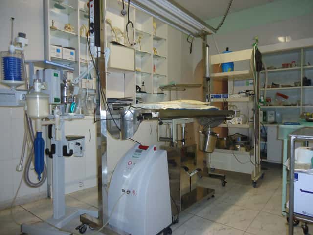 centro veterinario santiago fernandez veterinario centro barrio palencia en palencia en palencia principalImage ADOPTA Sitios Pet Friendly