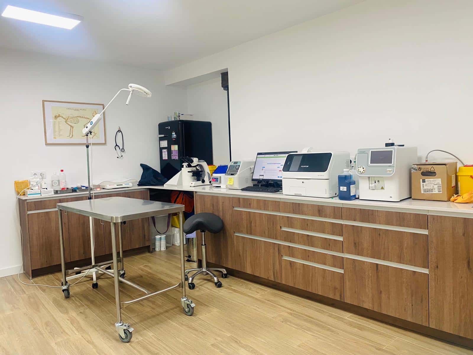 C.V. Cigales. Quirón Veterinarios.