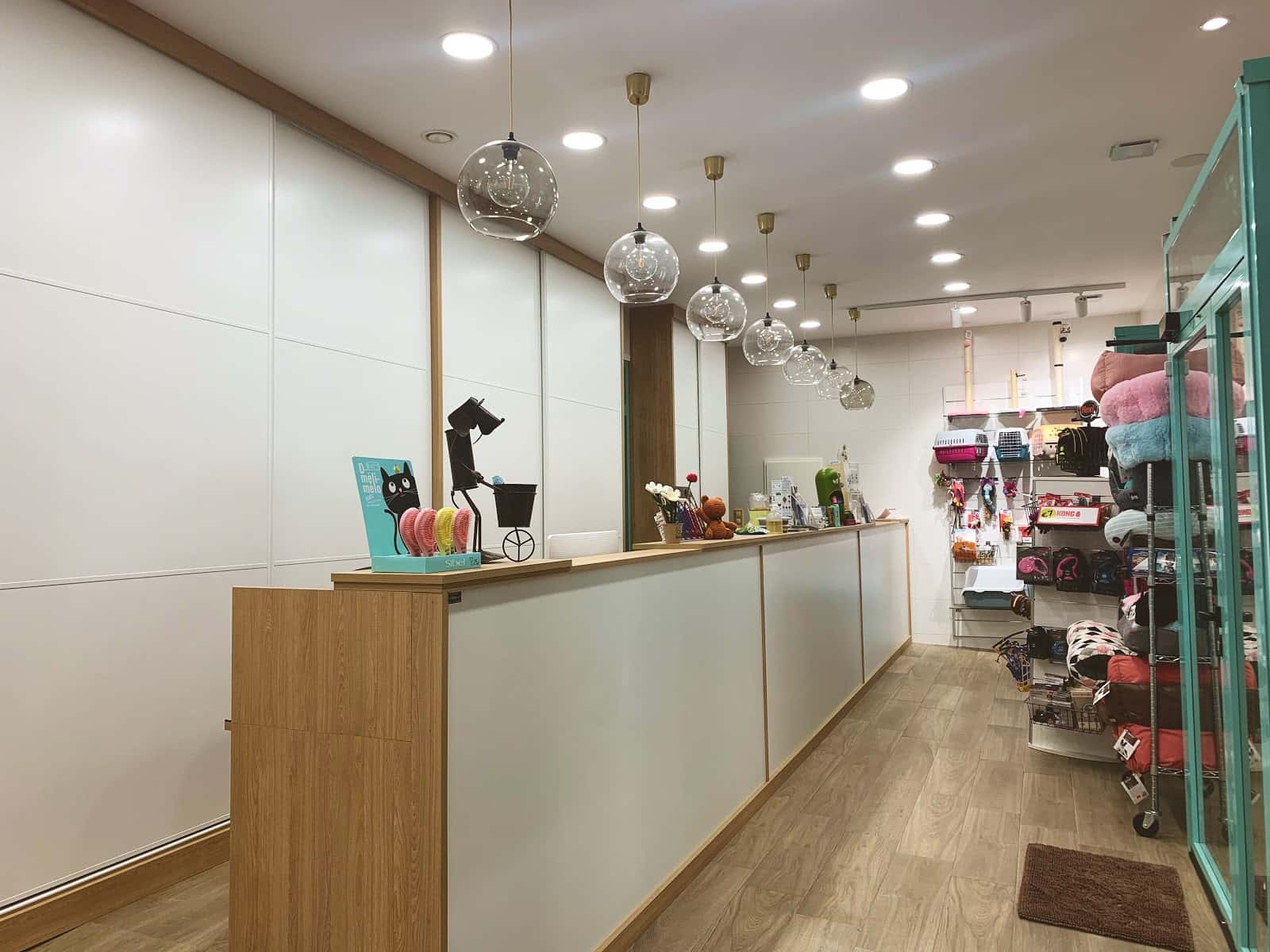 hospital veterinario vetoven veterinario hospital en medina de rioseco en valladolid principalImage ADOPTA Sitios Pet Friendly