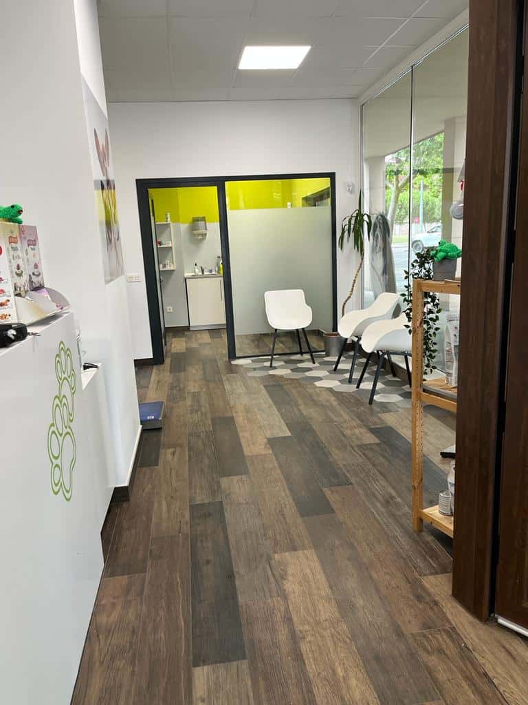 kironvet veterinario centro barrio palencia en palencia en palencia principalImage ADOPTA Sitios Pet Friendly