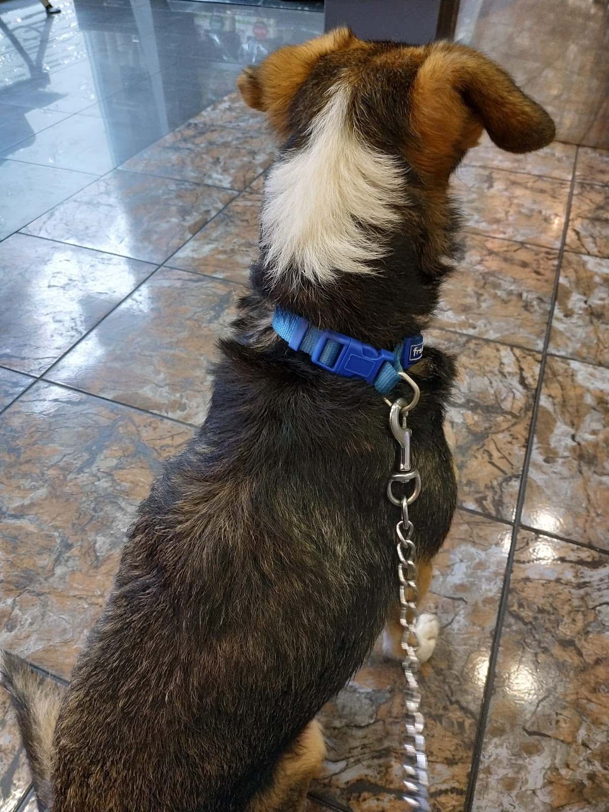 Clínica Veterinaria Don Can