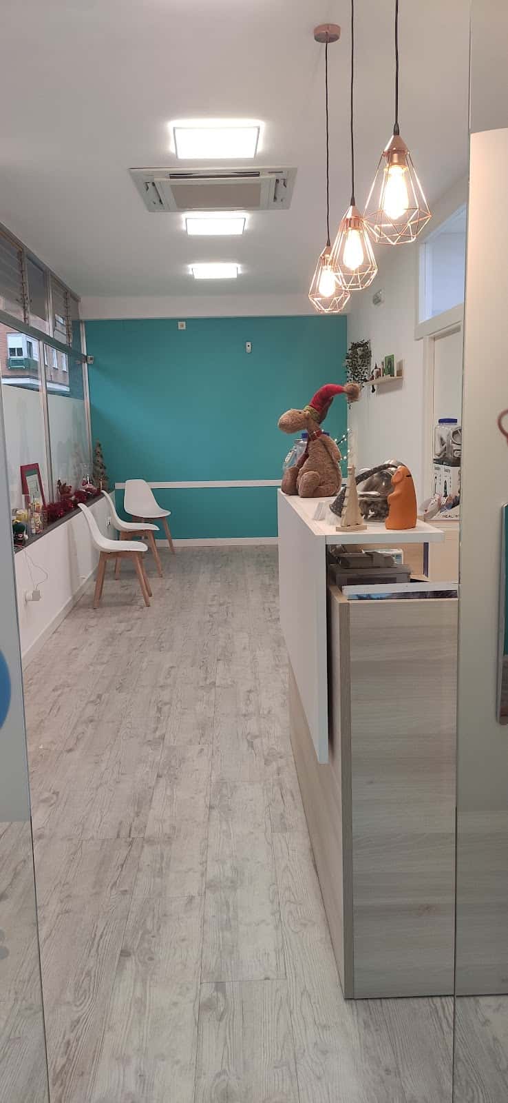 argos clinica veterinaria veterinario clinica barrio palencia en palencia en palencia principalImage ADOPTA Sitios Pet Friendly