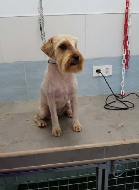 Clínica Veterinaria Cervera